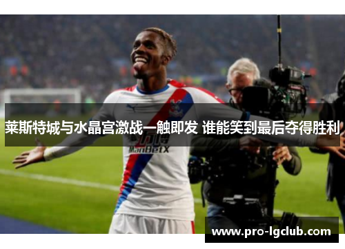 莱斯特城与水晶宫激战一触即发 谁能笑到最后夺得胜利