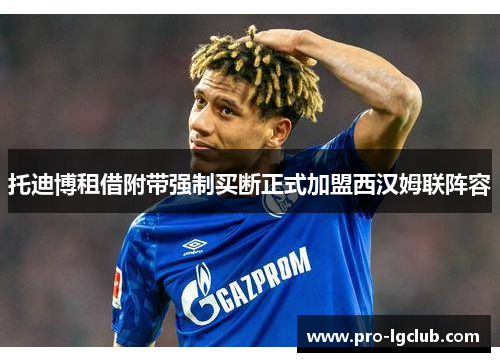 托迪博租借附带强制买断正式加盟西汉姆联阵容 托迪博租借附带强制买断正式加盟西汉姆联阵容