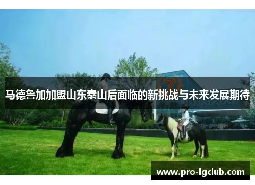 马德鲁加加盟山东泰山后面临的新挑战与未来发展期待