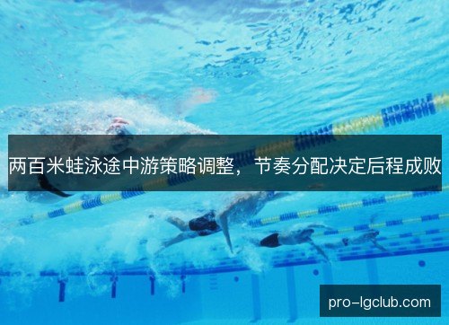 两百米蛙泳途中游策略调整,节奏分配决定后程成败 两百米蛙泳途中游策略调整,节奏分配决定后程成败